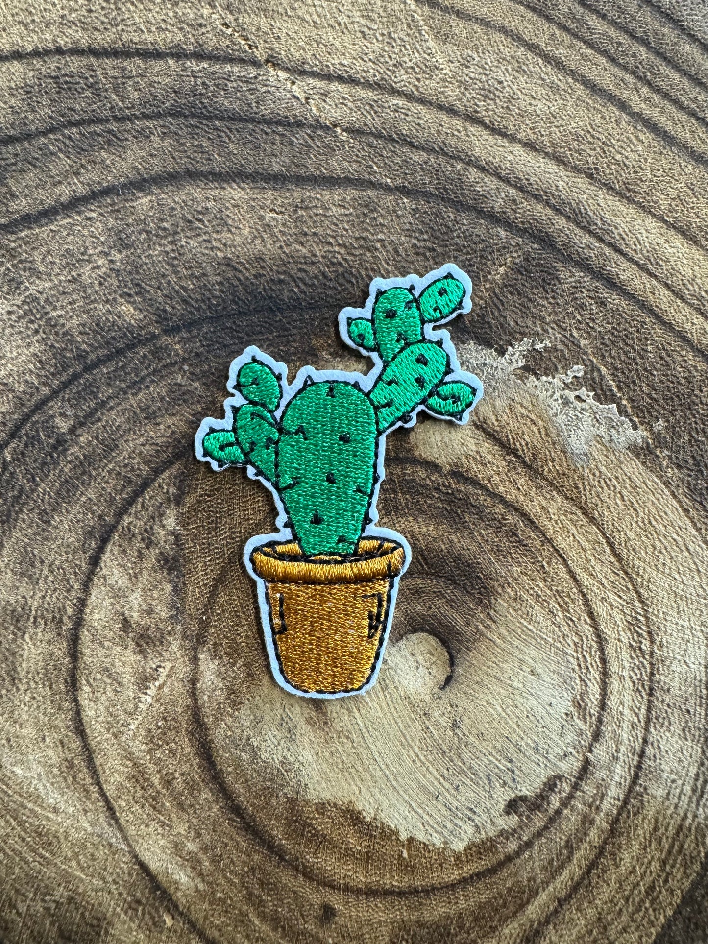 Potted Cactus Patch