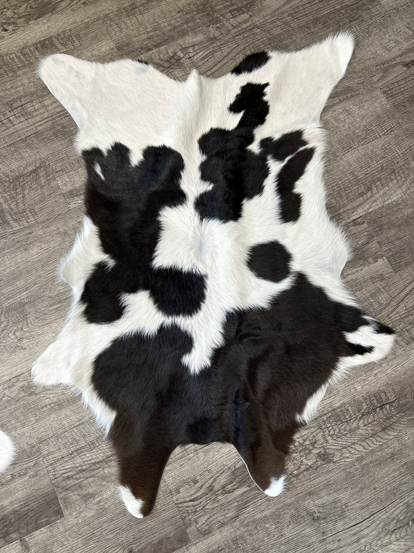 Chocolate and White Calfskin
