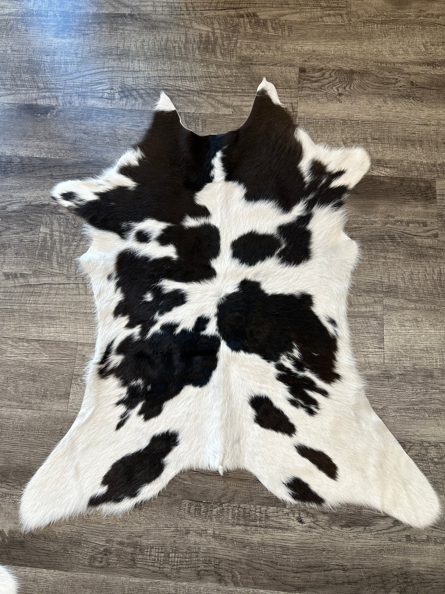 Chocolate and White Calfskin