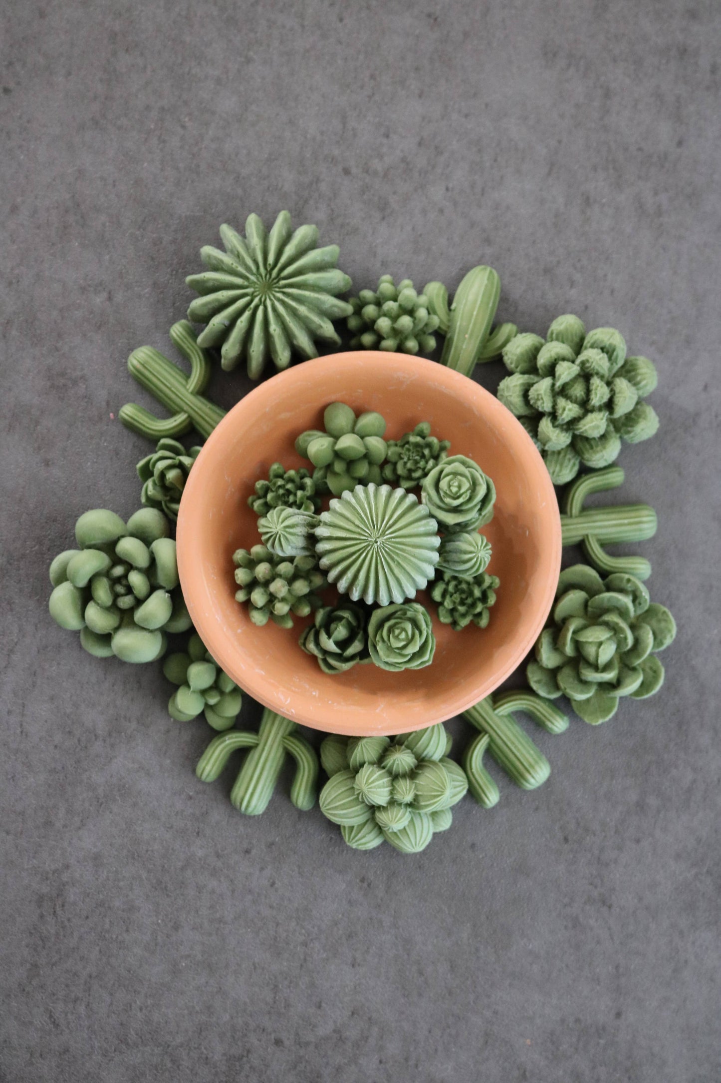 Succulent Wax Melts - Cactus Flower Jade