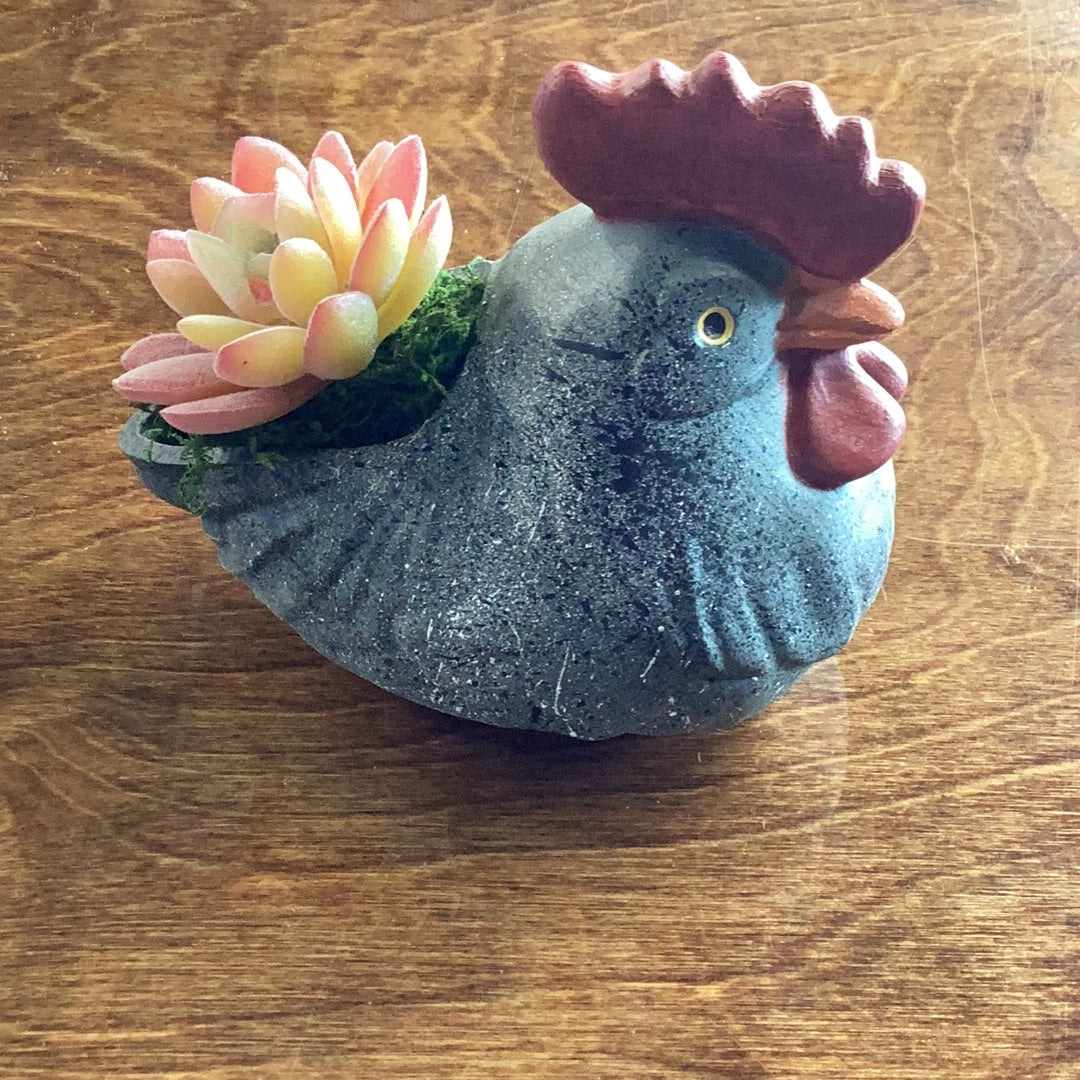 Chicken Planter with Succulents