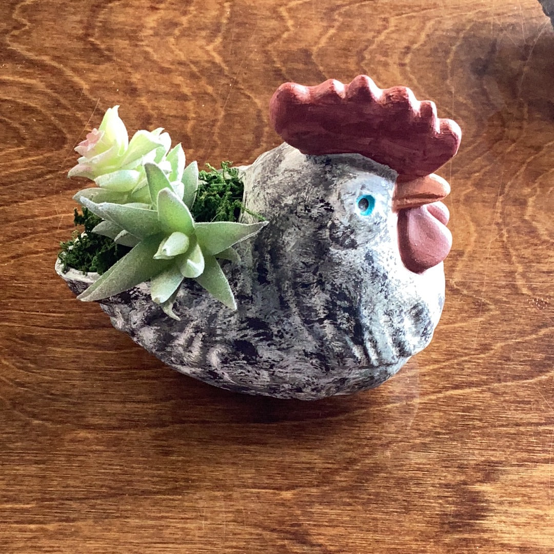 Chicken Planter with Succulents