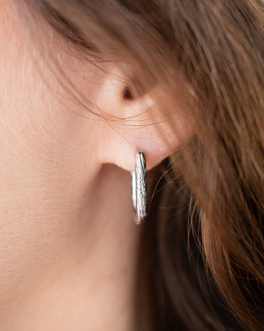 Horseshoe Hoops