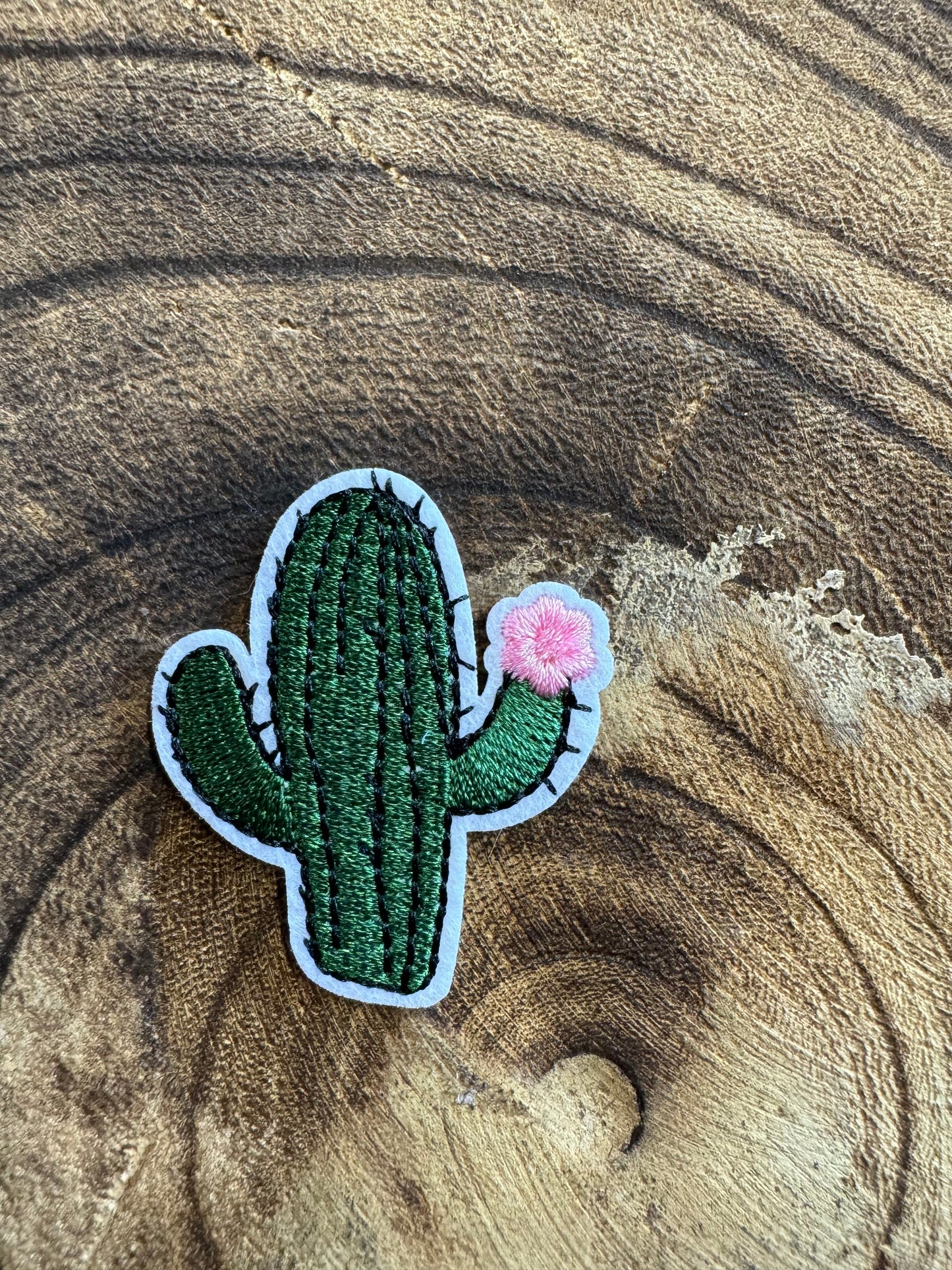 Cactus with Pink Flower Patch