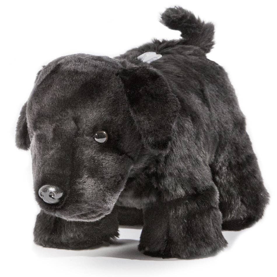 Black Lab Dog Coin Bank