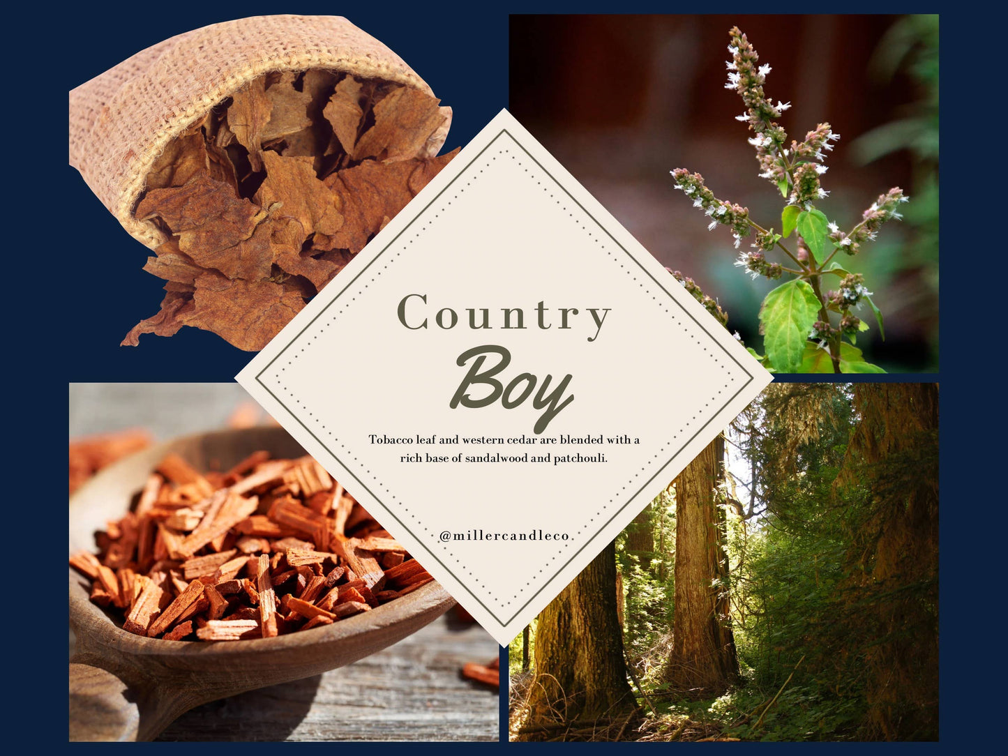 Men’s Roll On Colognes