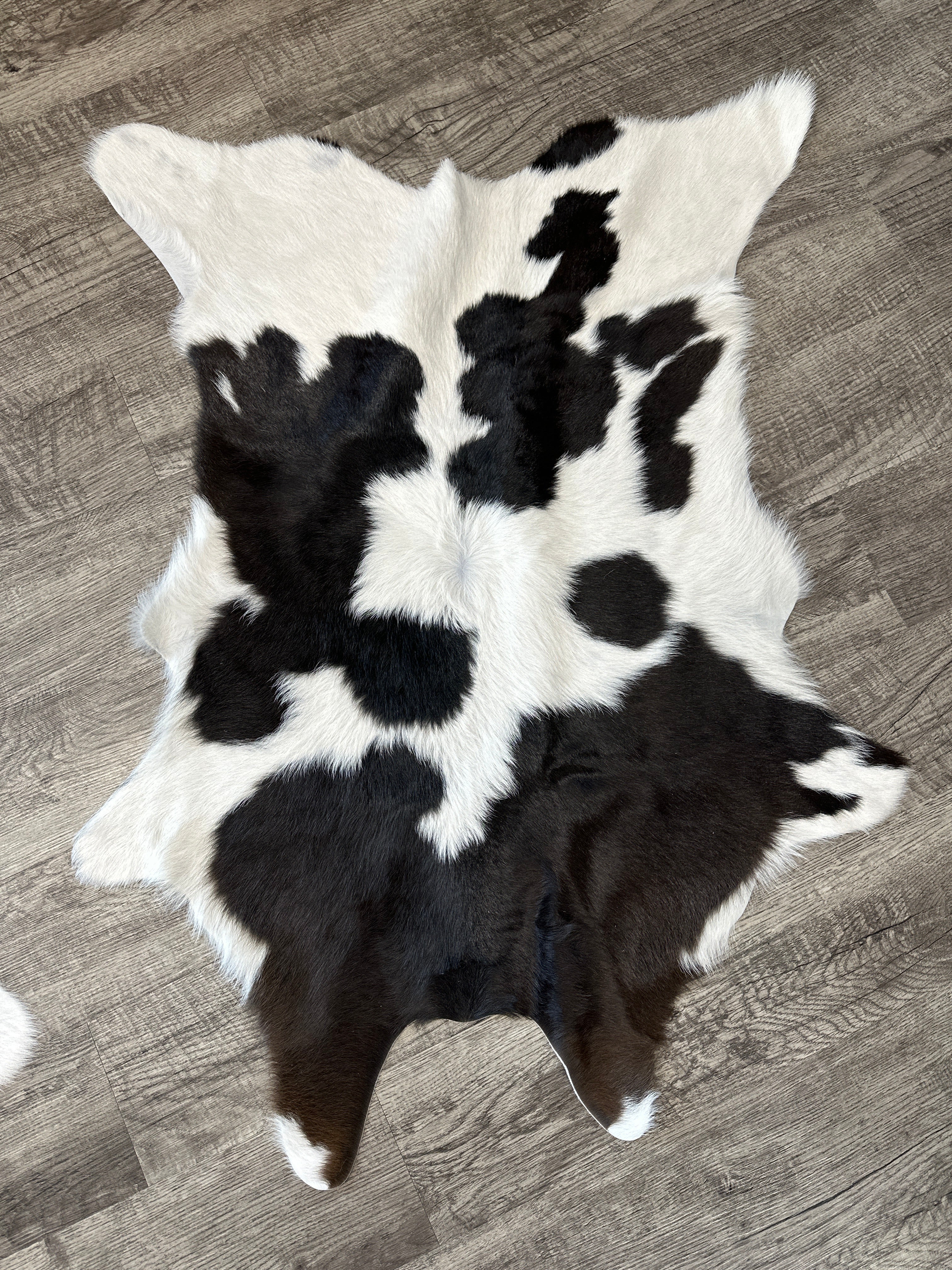 Chocolate and White Calfskin