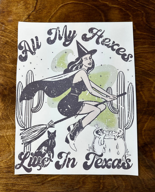 All My Hexes Live in Texas Graphic