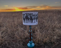 Lampshade Angus Cattle Herd