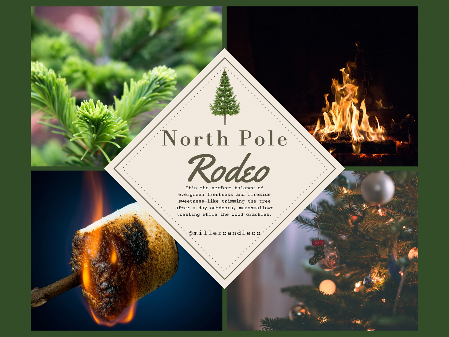 Goat Milk & Honey Lotion