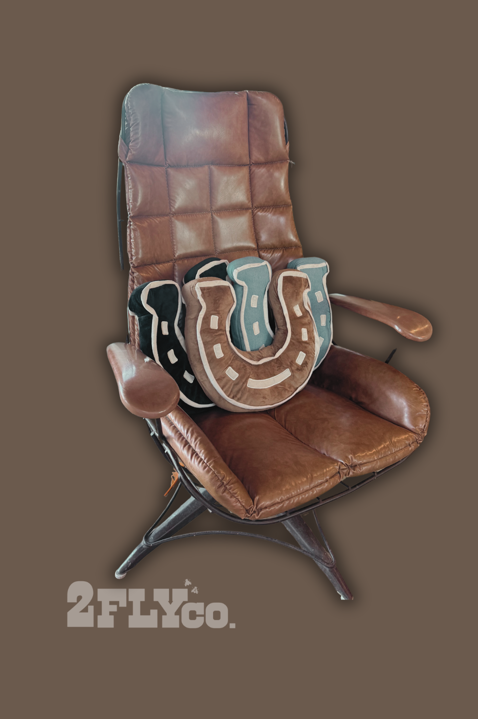 Lucky Horseshoe Pillow