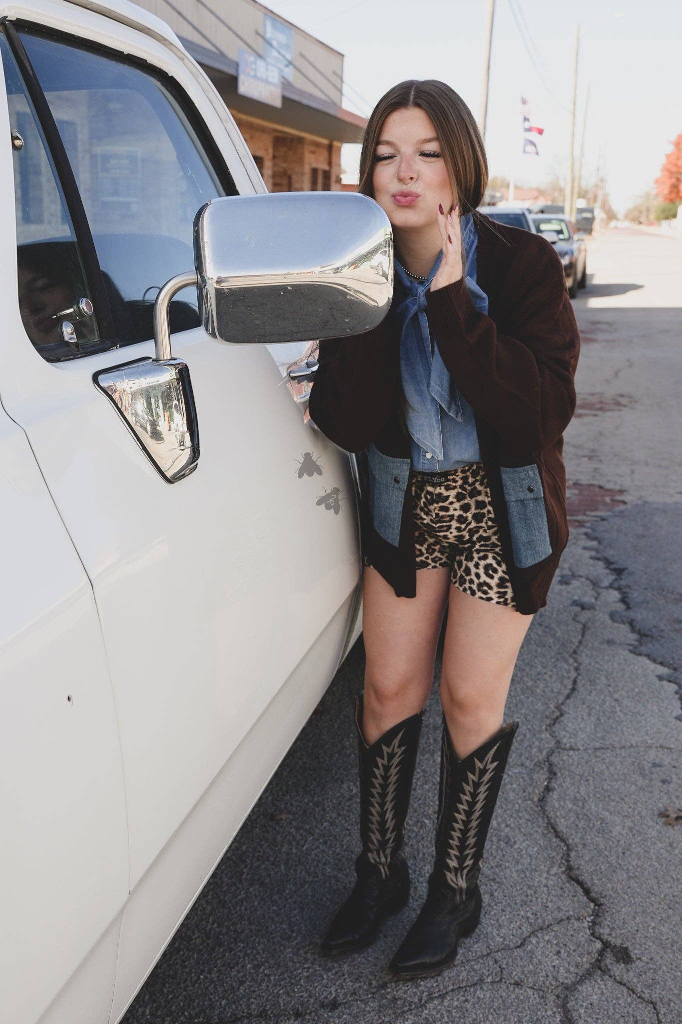 Cattle Babe Angus Cardi