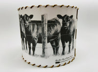 Lampshade Angus Cattle Herd