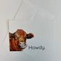 Howdy Set of 8 Cards & Envelopes
