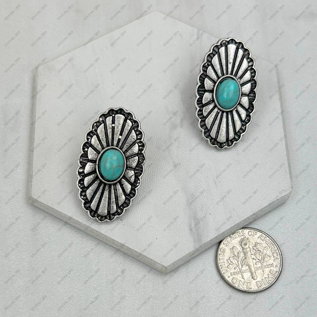 Silver & Blue Earrings