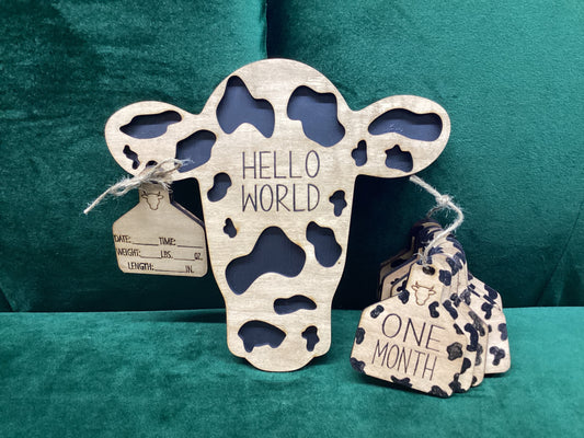 Black Cow Birth Milestone