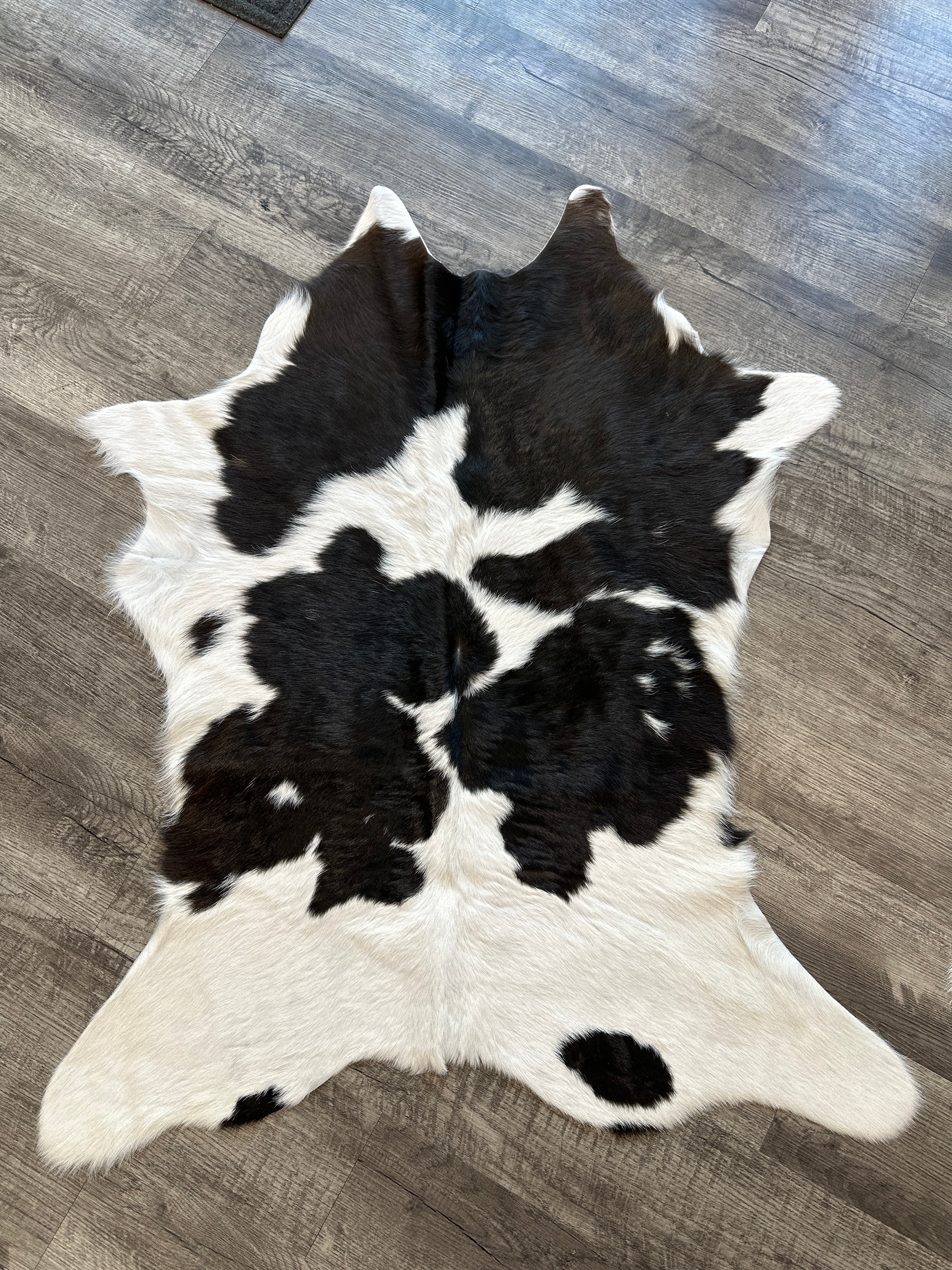 Chocolate and White Calfskin