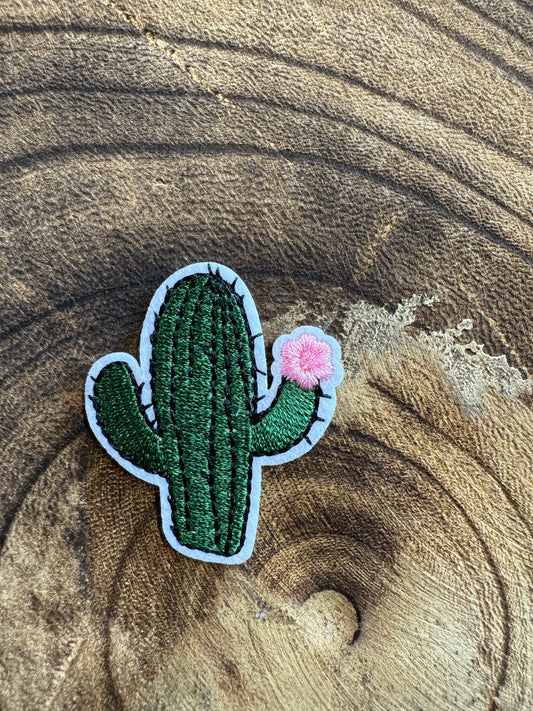 Cactus with Pink Flower Patch