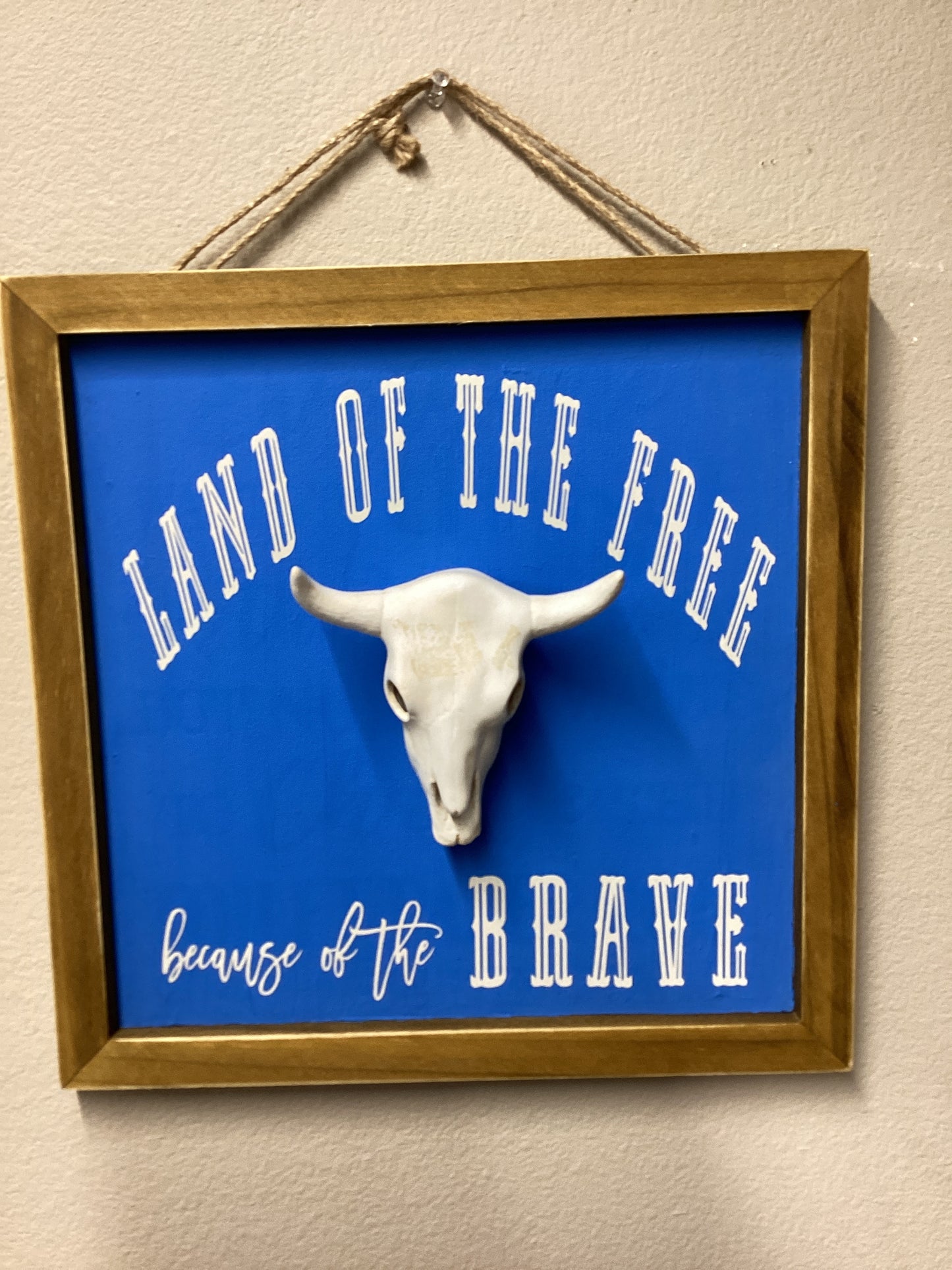 Land of the Free Wall Decor