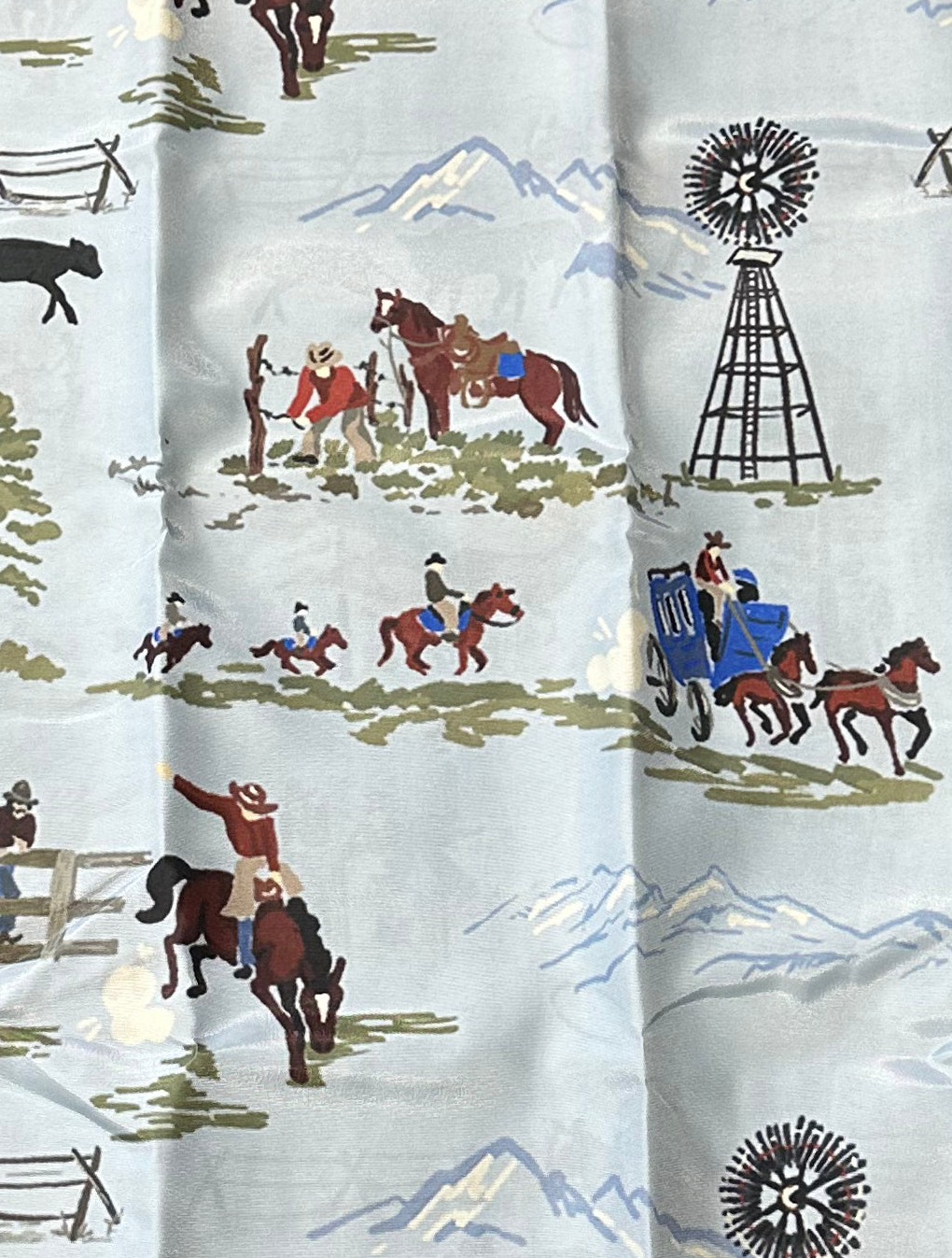 Jackson Western Duvet