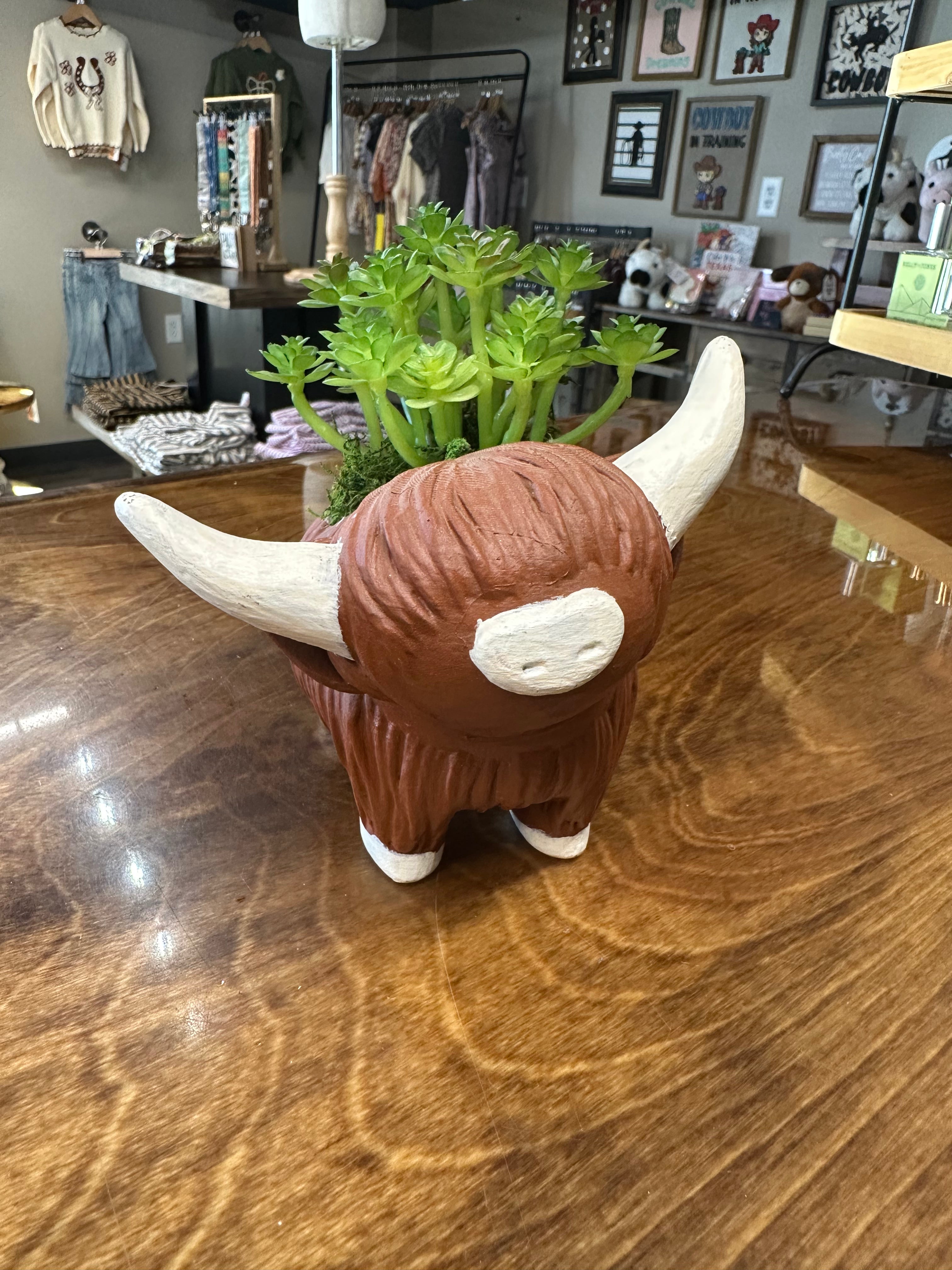 3D Highland Cow Planter
