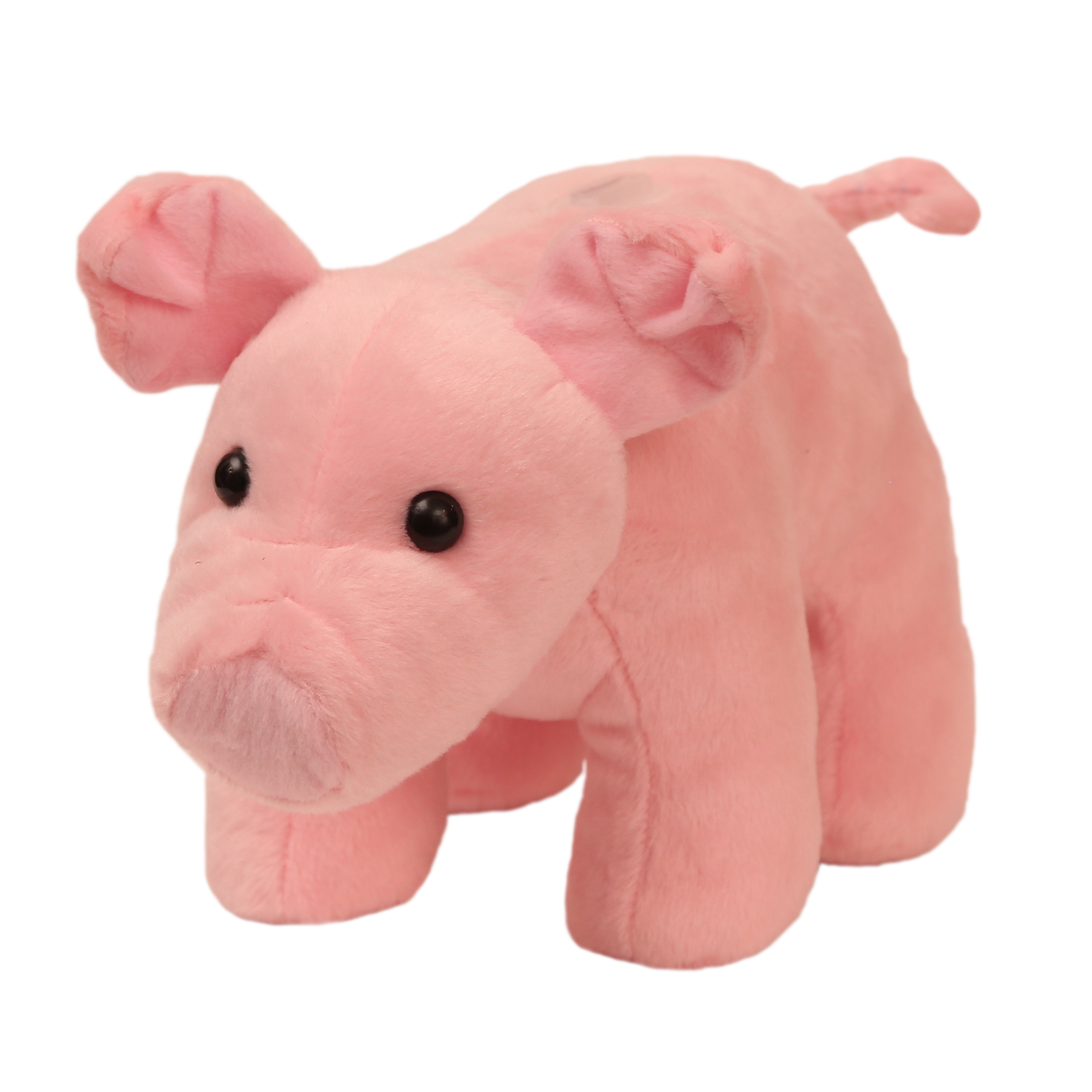 Pig Coin Bank
