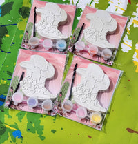 Cowgirl Plaster Paint Kit