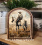White Horse Cowboy Framed Art
