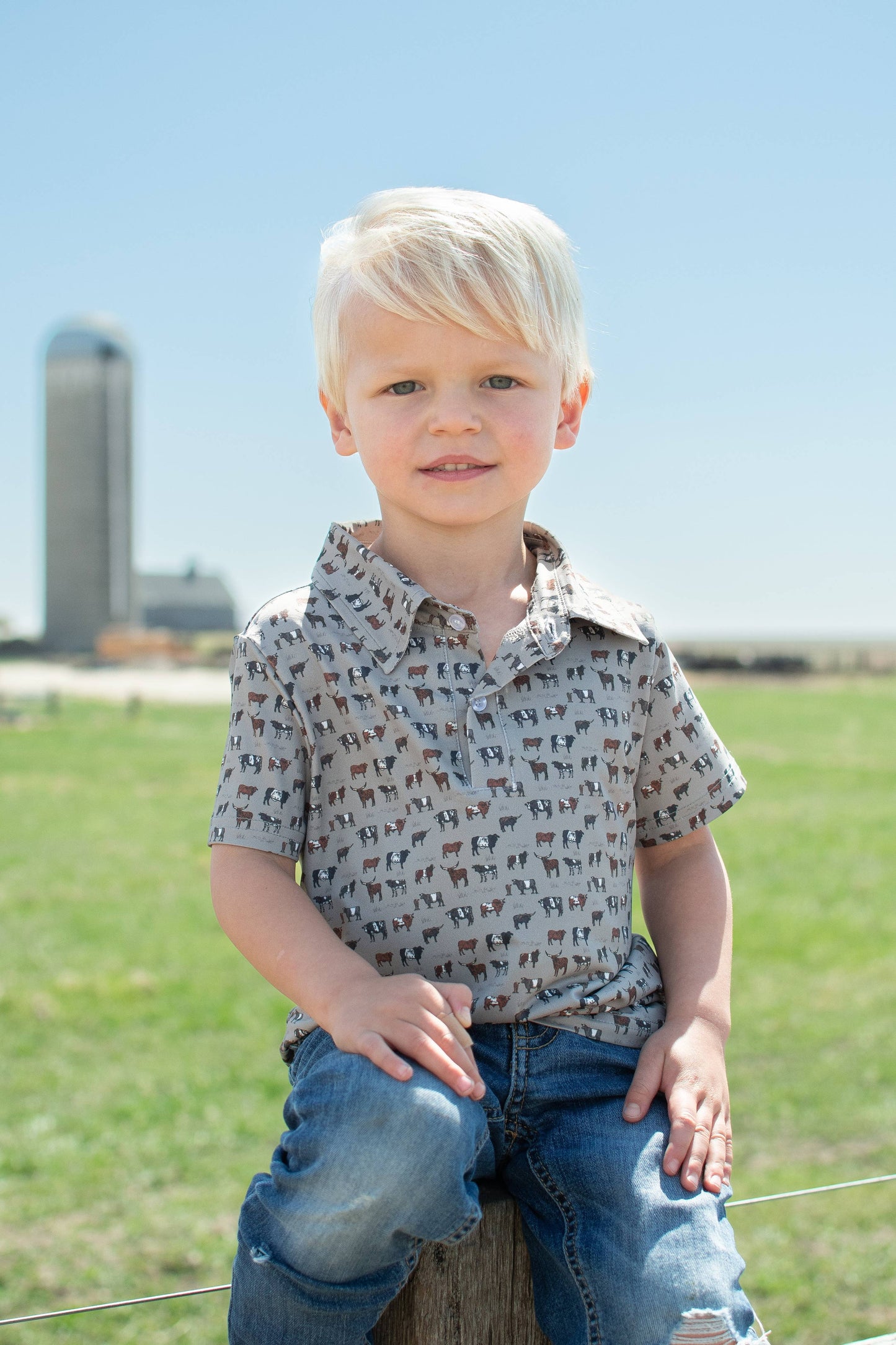 Vintage Cattle Polo