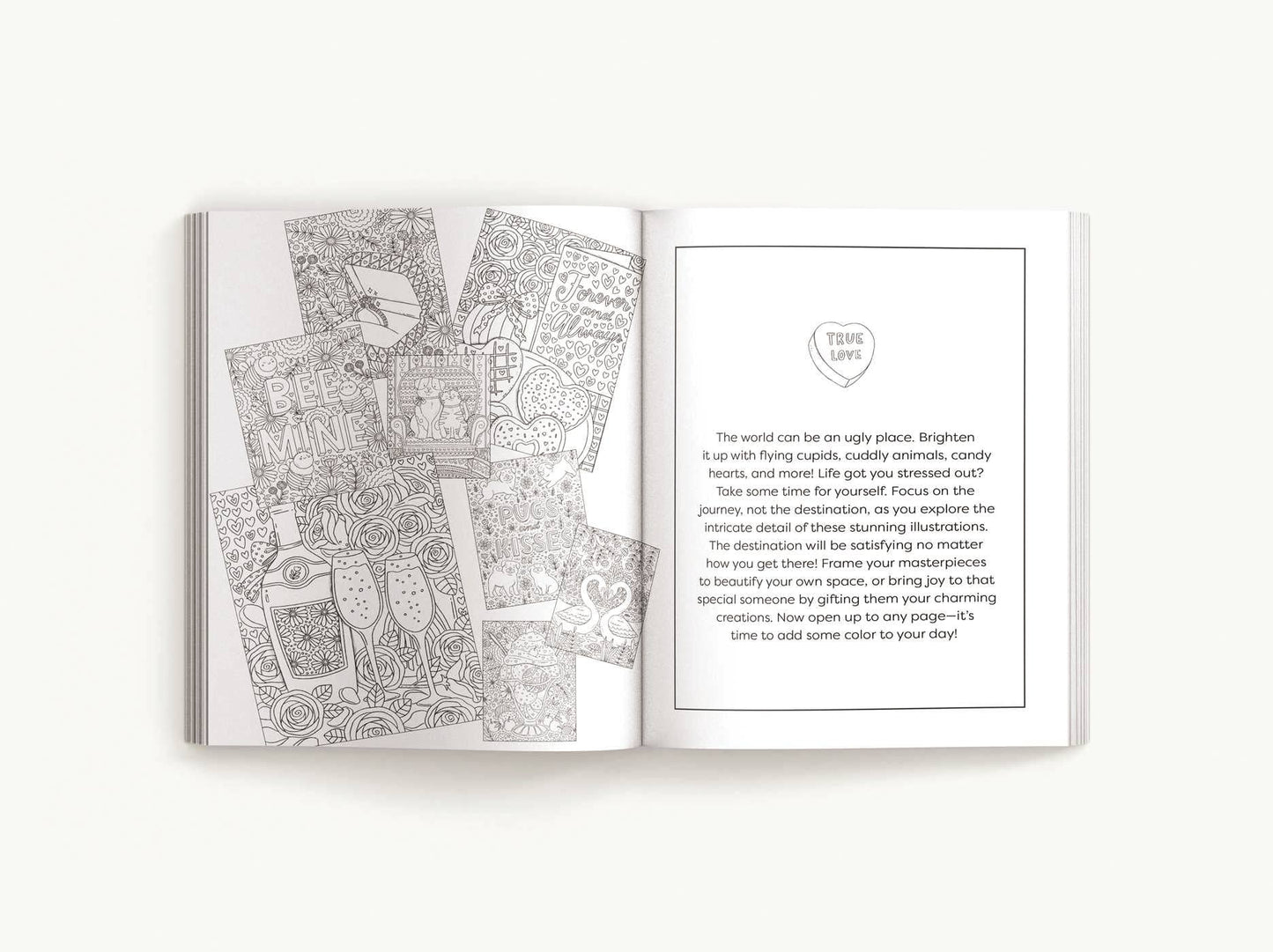 Color Me Love: A Valentine's Day Coloring Book