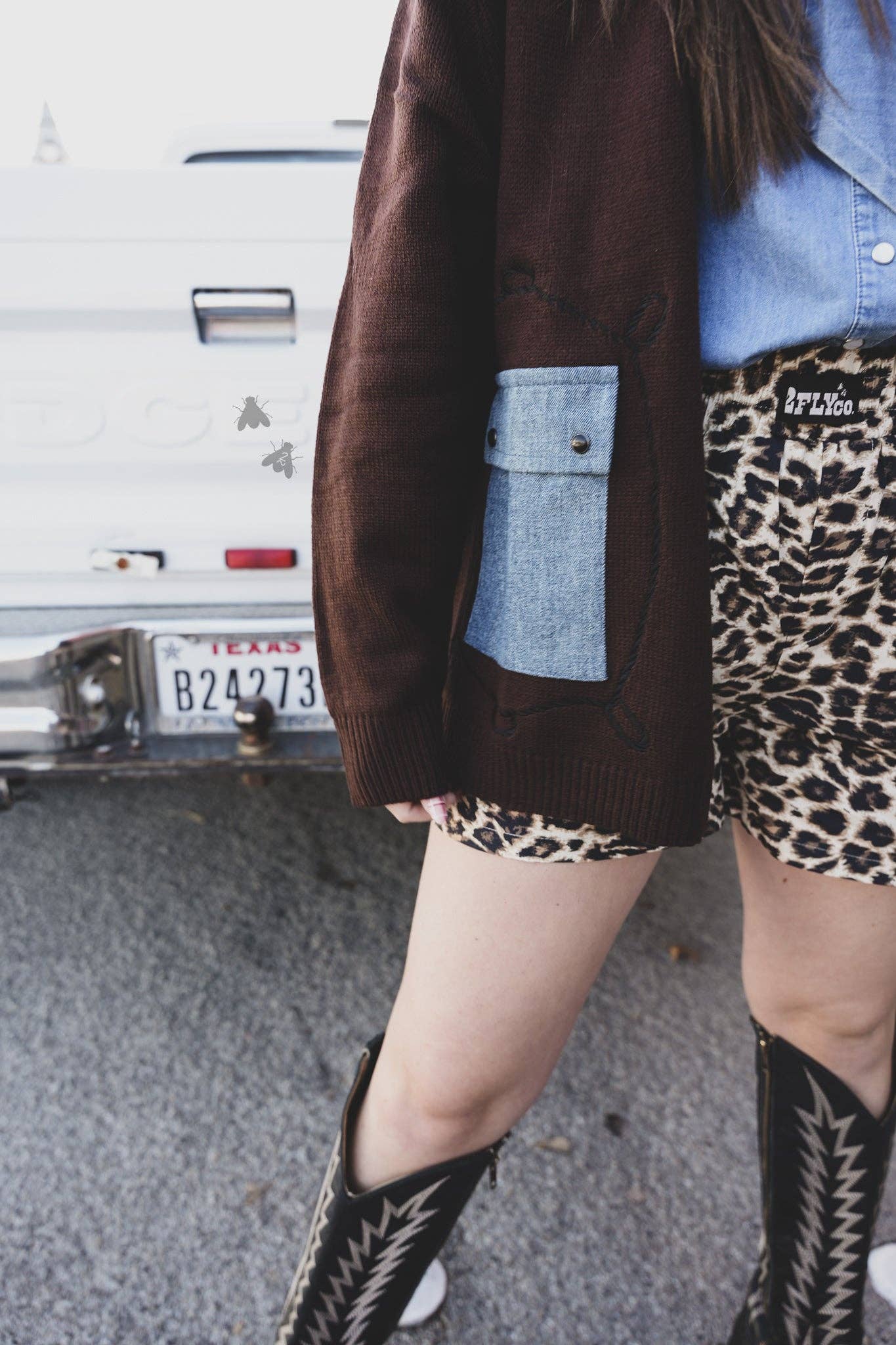 Cattle Babe Angus Cardi