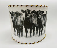 Lampshade Angus Cattle Herd