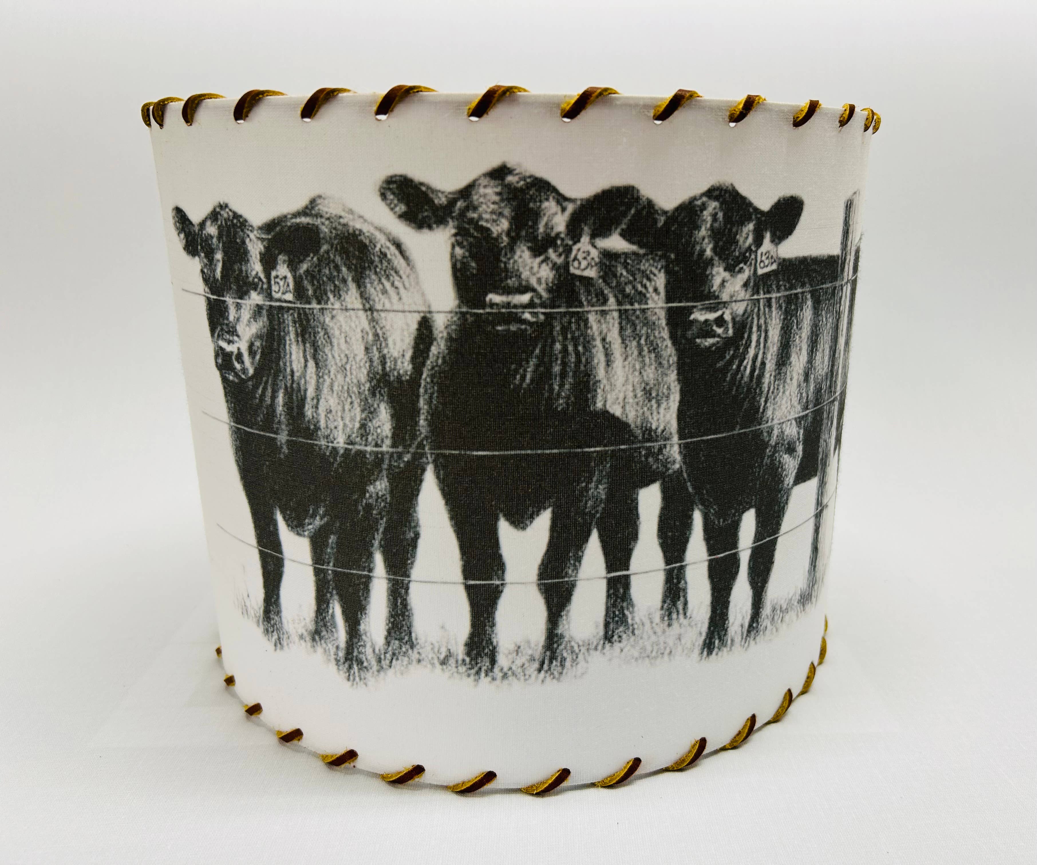 Lampshade Angus Cattle Herd