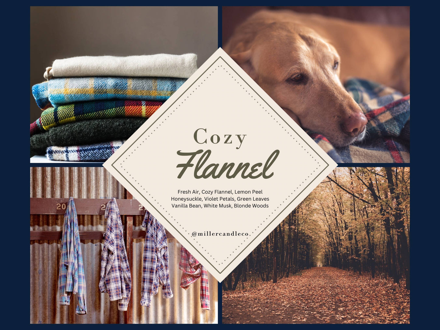 Men’s Roll On Colognes