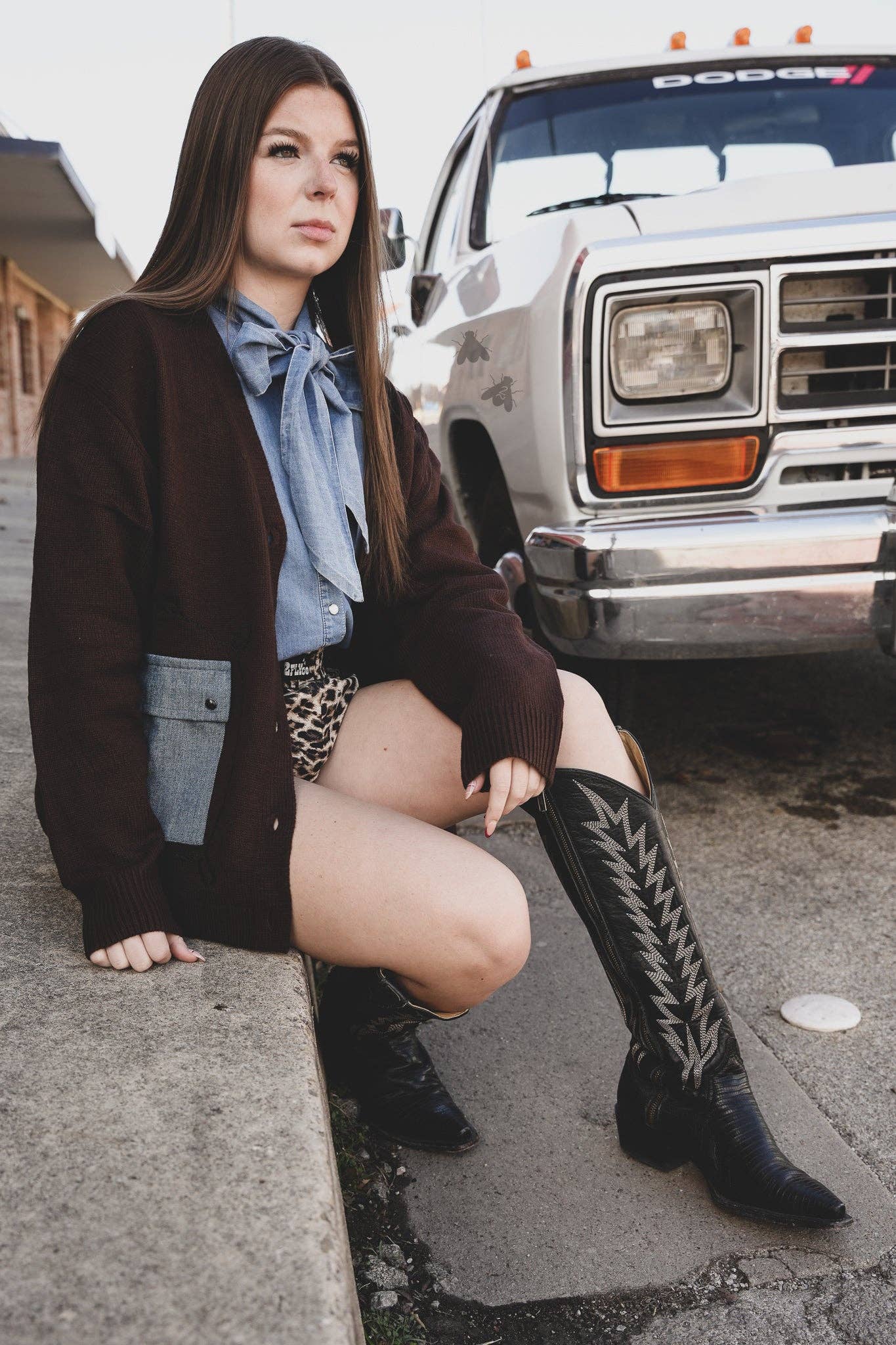 Cattle Babe Angus Cardi