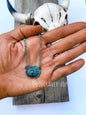 Conch Chain Necklaces