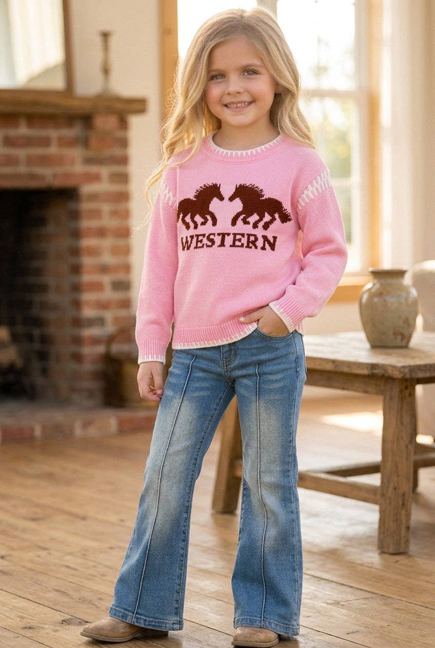 Pink Western Sweater