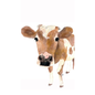 Tea Towel - Carmello