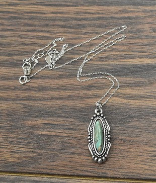 Long Faux Turquoise Pendant Necklace