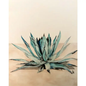 Tea Towel - Desert Blossom